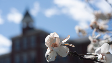 Spring 2020 at Founders Hall